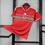 Wales 2026 World Cup Home Football Jersey